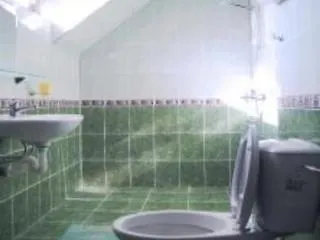Alex Hotel Bansko