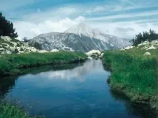Alex Hotel Bansko
